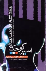 اسیر کوچک: خاطرات شفاهی غلامرضا رضازاده