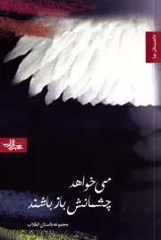 می خواهد چشمانش باز باشند: مجموعه داستان کوتاه انقلاب اسلامی