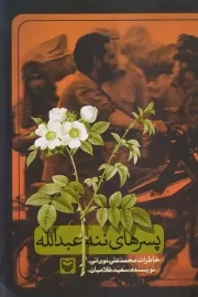 پسرهای ننه عبدالله: خاطرات محمدعلی نورانی