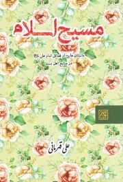 مسیح اسلام: داستان هایی از فضائل امام علی (ع) در منابع اهل سنت